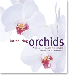 Introducing Orchids